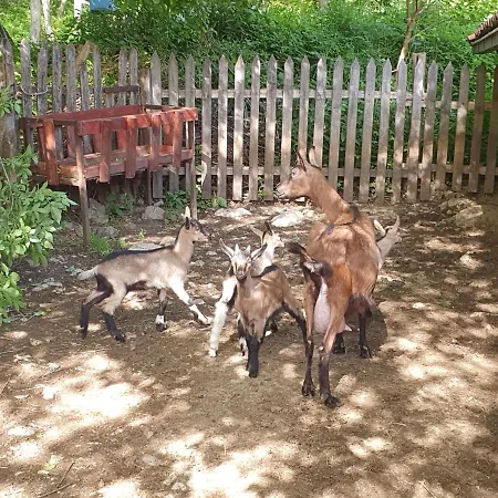 Vodopad Lisine Strmosten