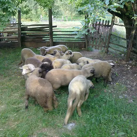 Vodopad Lisine 3* Strmosten