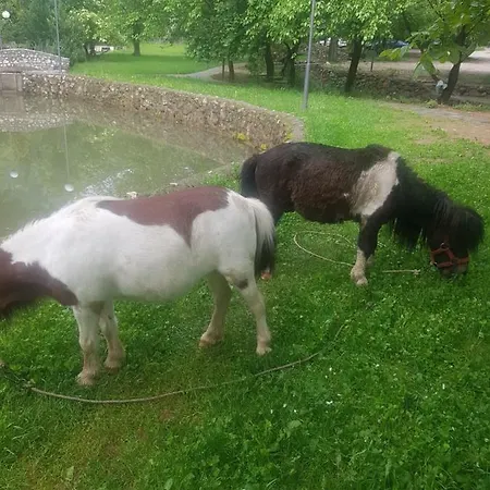 Couette-café Vodopad Lisine